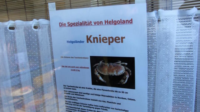 Knieper (Krebszangenfleisch)